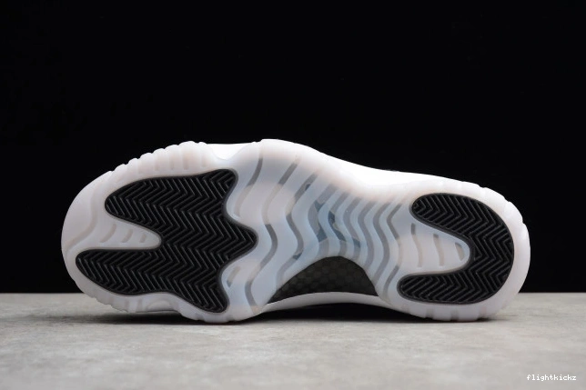 528895-010 Low Jordan 11 
